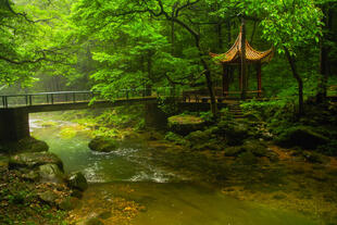 Landschaft des Zhangjiajie NP