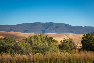 Landschaft im Bezirk Overberg