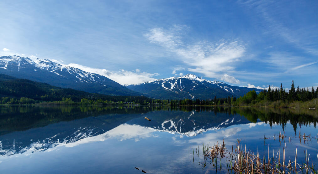 Whistler