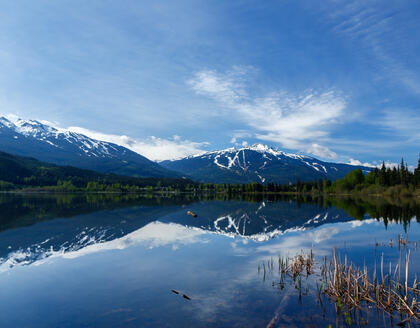 Whistler