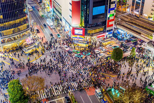 Shibuya Kreuzung