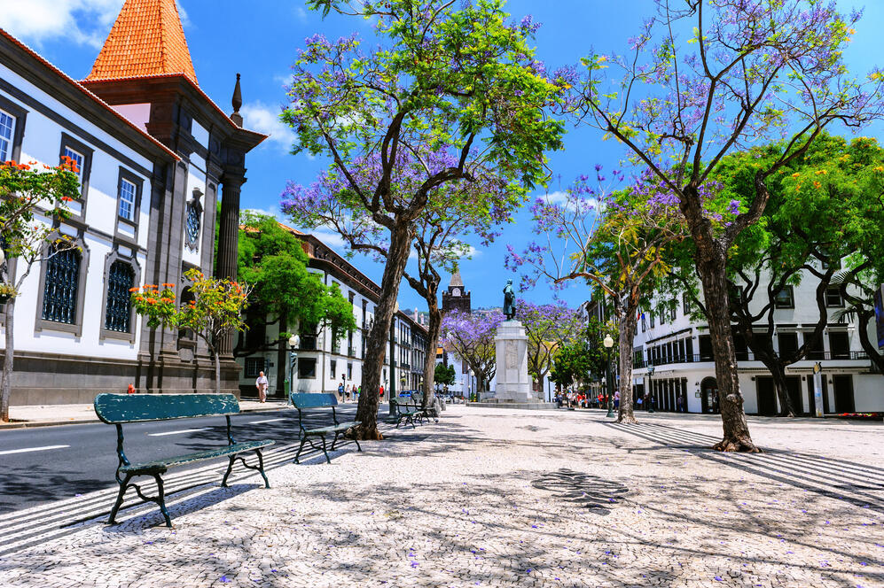 Funchal Stadt
