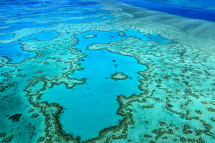 Heart Reef im Great Barrier Reef 