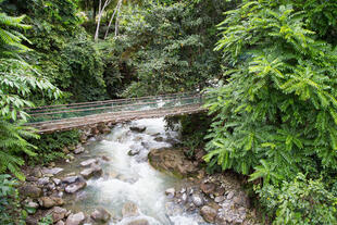 Kinabalu National Park 