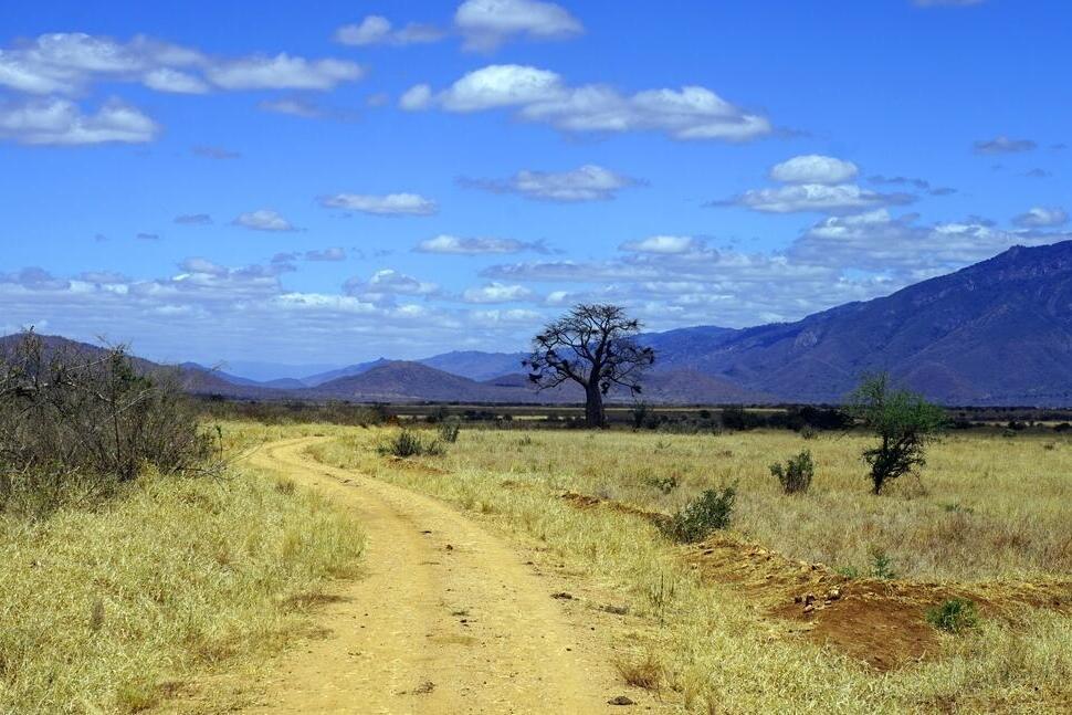 Mkomazi Nationalpark