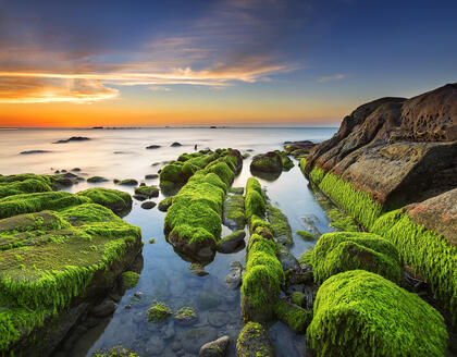 Moosbewachsene Felsen an Strand in Sabah 