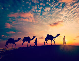 Kamelritt in der Thar Wüste