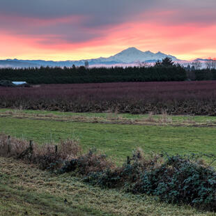 Mount Baker
