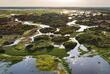 Feuchtlandschaft im Pantanal
