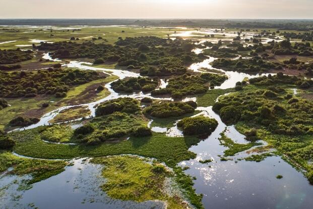 Feuchtlandschaft im Pantanal