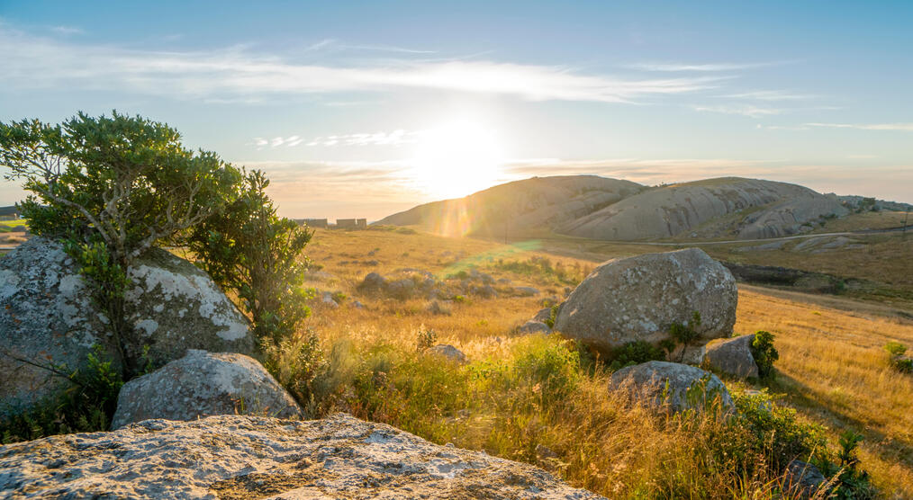 Sonnige Landschaft bei einer Eswatini Reise