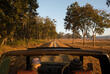 Morgendliche Jeepsafari im Kanha Nationalpark