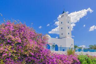 Al-Ghufran Moschee in Sidi Bou Said
