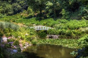 Brücke im Trebah Garden