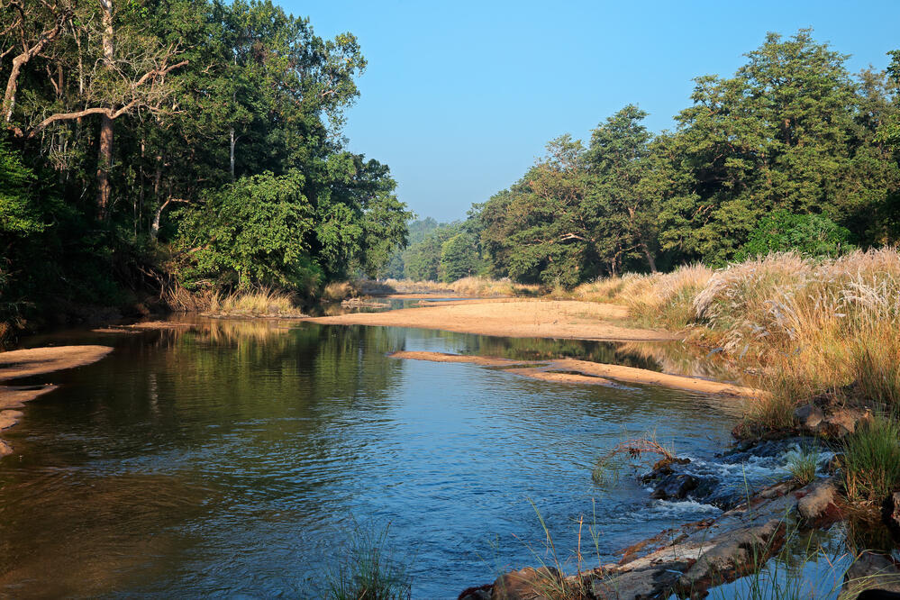 Landschaft im Kanha Nationalpark