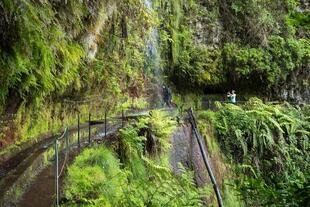 Levada do Rei