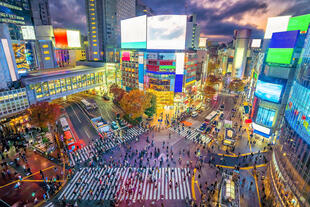 Shibuya Kreuzung