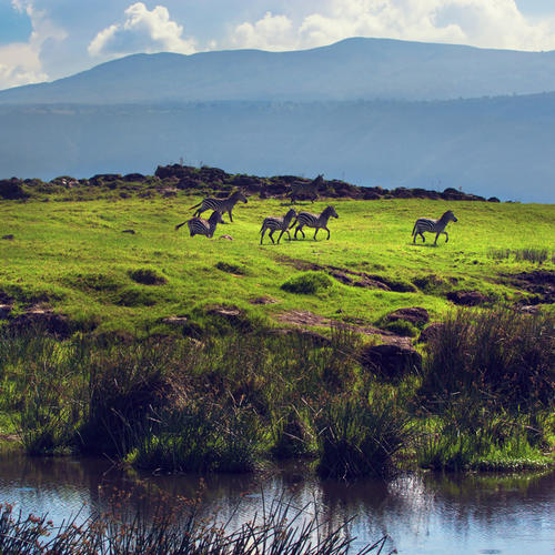 Blick auf den Ngorongoro-Krater