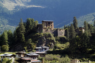 Blick auf Drukyel Dzong