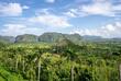 Blick über das Viñales Tal