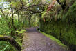 Levada