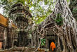 Von Pflanzen zugewucherte Tempelruinen von Angkor Wat
