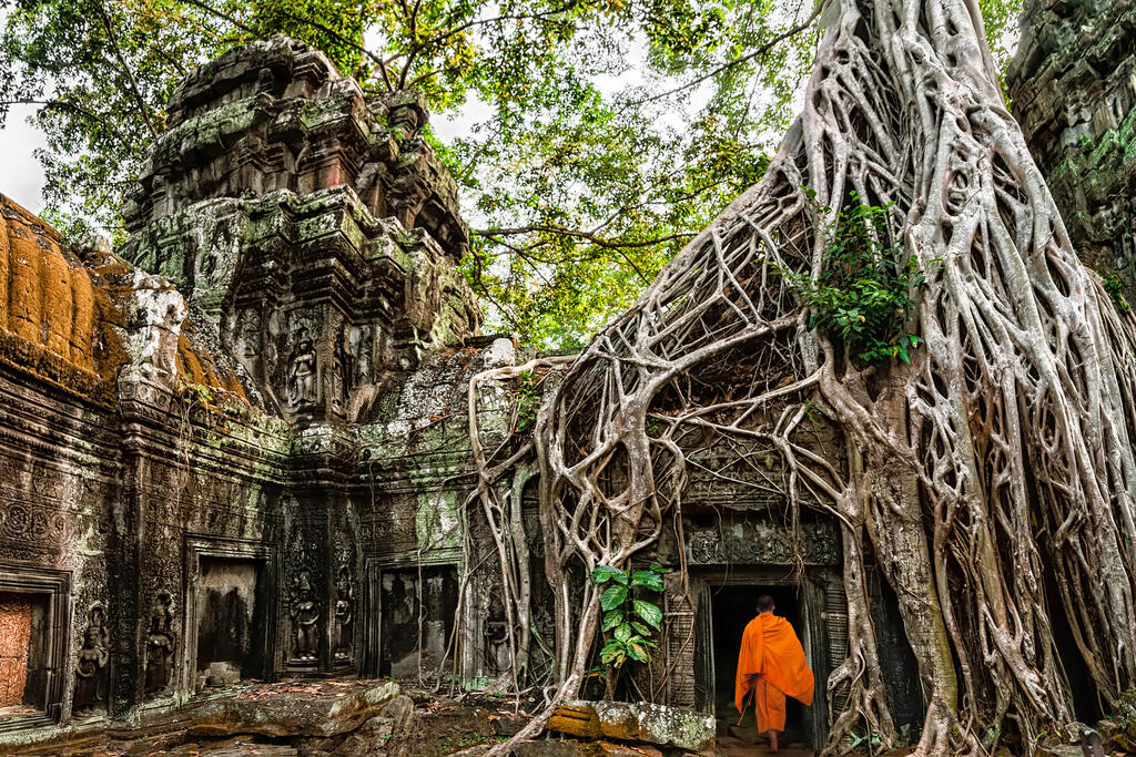 Von Pflanzen zugewucherte Tempelruinen von Angkor Wat