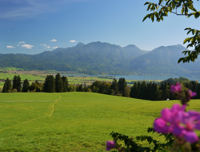 Blick auf den Kochelsee vom Ohlstädter Wald