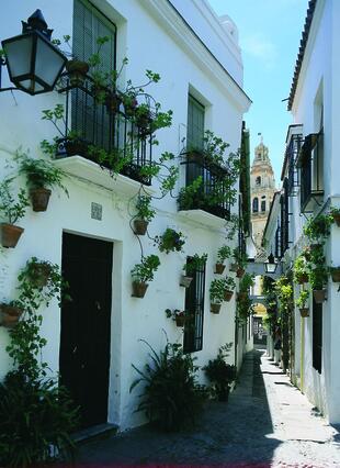 Córdoba calle de las flores