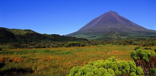 Grüne Landschaft auf der Insel Pico 