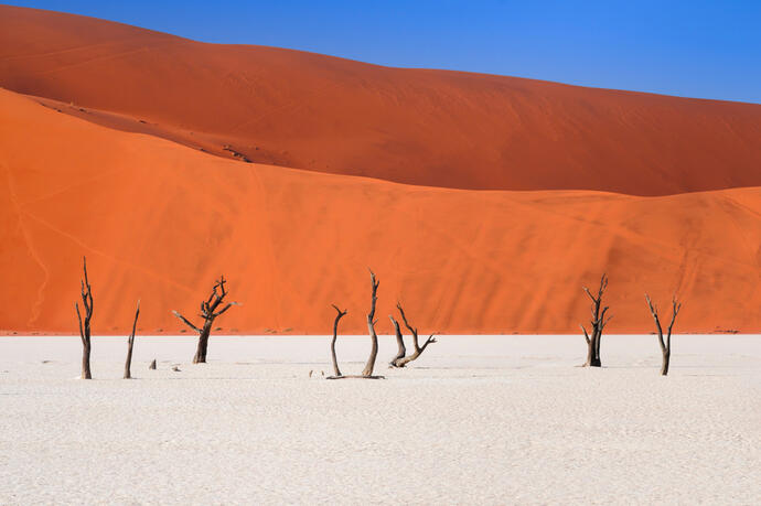 Namib Wüste 