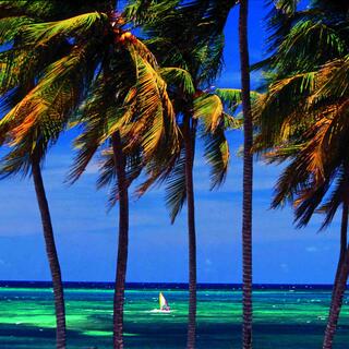 Strand in Guardalavaca