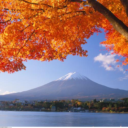 Herbstlaub vor dem Berg Fuji in Japan