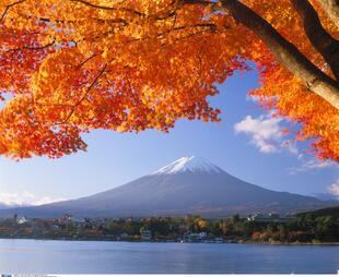 Herbstlaub vor dem Berg Fuji in Japan