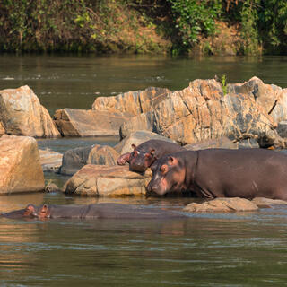 Shire Fluss