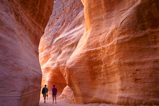 Canyon in Petra
