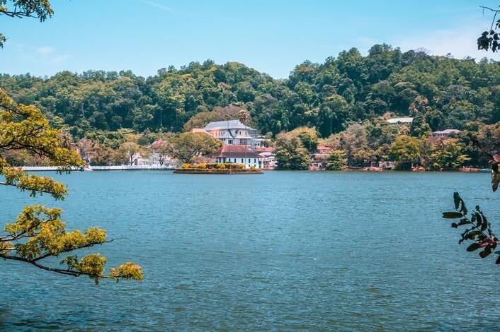 Kandy See