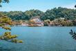 Kandy See