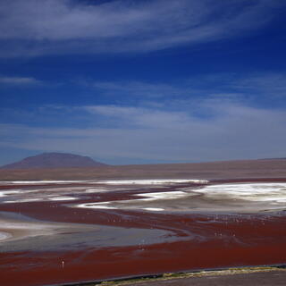 Laguna Colorada