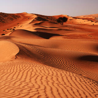 Landschaft in Wahiba Sands