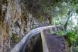 Levada dos Tornos