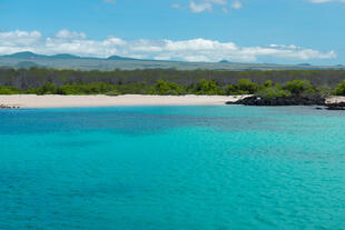 Seymour North Island