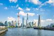 Shanghai Skyline