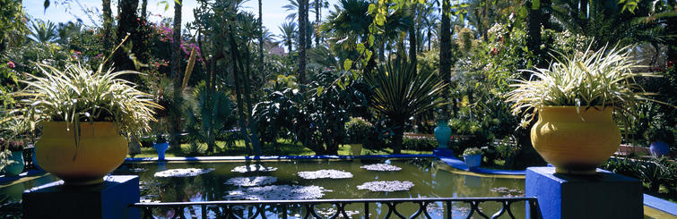 Garten Jardin Majorelle