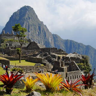 Machu Picchu