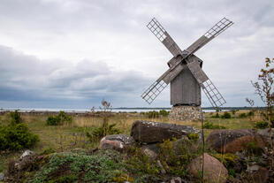 Windmühle in 