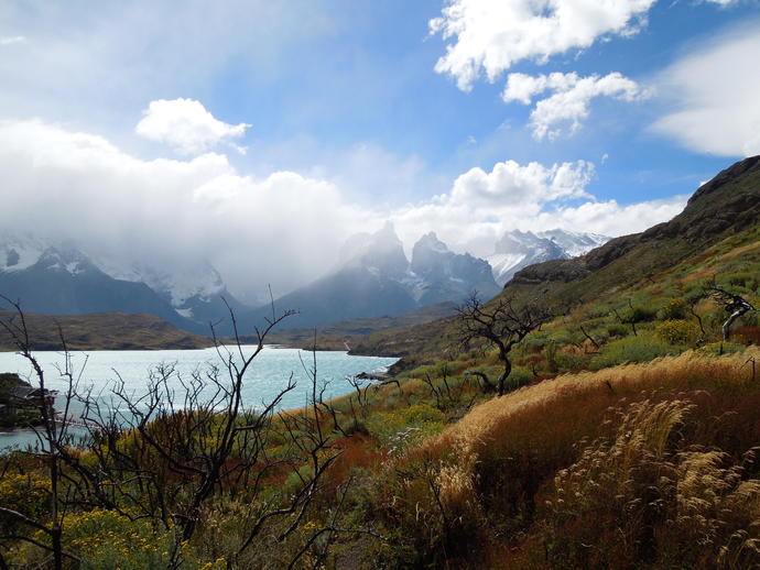 Berge und Seen im Torres del Paine