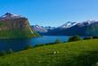Blick auf den Romsdalsfjord bei Molde