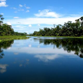 Kanäle im Tortuguero Nationalpark