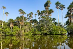 Puerto Maldonado Amazonas
